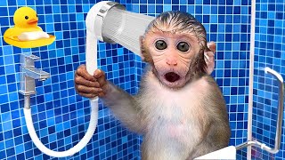 Monkey Baby Bon Bon Bathing In The Bathroom With Eating Fruit With Ducklings Side Swimming Pool [upl. by Charmaine163]