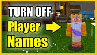 How to TURN OFF Player Names in Minecraft amp Hide Name Tags Easy Method [upl. by Malha]