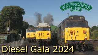 Watercress Line Diesel Gala 2024  The Highlights [upl. by Idalia]