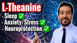 LTheanine Does This to Your BRAIN  How to Take LTheanine CORRECTLY [upl. by Vidovik639]