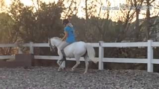 Ohne Sattel reiten mit Wolke [upl. by Casar]