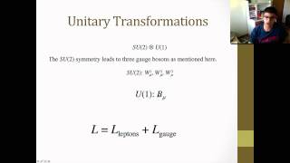 Electroweak Theory [upl. by Eiltan]