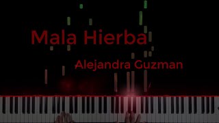 Mala Hierba  Alejandra Guzman Piano Cover [upl. by Noitsirhc950]