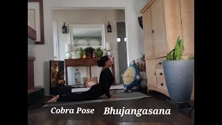 18th Yoga Asana Cobra Pose Bhujangasana [upl. by Agan785]