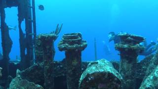 Diving In Bermuda 2014 With Blue Water Divers [upl. by Goggin]