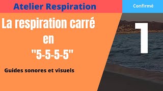 🤿 Respiration Carrée 5555 ou Sama Vritti [upl. by Brana]