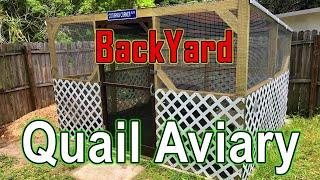 BackYard Quail Aviary  Keeping Coturnix Quail in an outdoor setting [upl. by Nnaasil]