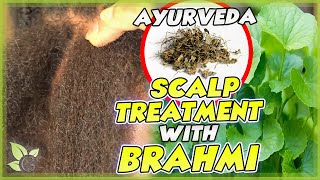 The many benefits of BRAHMI for your hair  Science and Recipe [upl. by Grodin]