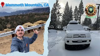 Skiing amp Winter Car Camping  Mammoth Road Trip Pt 3 [upl. by Grizelda]