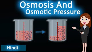 Osmosis and Osmotic Pressure  3D Animated Explanation  class 12th chemistry  Solutions [upl. by Potter539]