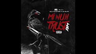 Jula Fatstash x Dj Glad Mi Nuh Trust Dem [upl. by Nnaeinahpets]