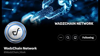 Wadzchain Wadzpay WCO WTK EPIC Update Nov 4 2024 [upl. by Nednal]