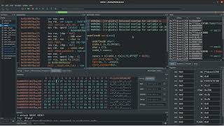 Radare2 Series 0x6  Cutter UI Basic Debugging Workflow [upl. by Batish51]