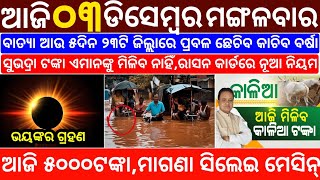 todays morning news odisha3 December 2024subhadra yojana online registrationodisha news today [upl. by Sanez]