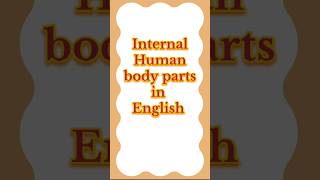 Human all body parts name in English internal human body english learning [upl. by Gassman]