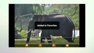 Kids Zoo  Animal Sounds and pictures Android and iPhone app [upl. by Ahsirak]