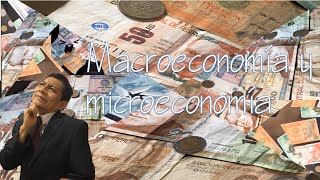 Macroeconomía y microeconomía  Economía [upl. by Berkow]