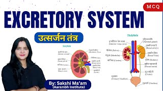 The Excretory System Function Organs amp Process  Biology Simplified  Aarambh Institutequot [upl. by Clovah]