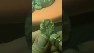 Pyrite Ammonite [upl. by Stevena]