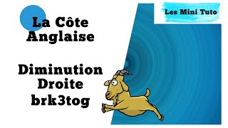 Mini tuto Côte Anglaise mono diminution brk3tog [upl. by Solenne]