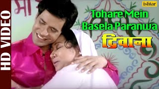 Tohare Mein Basela Paranwa  Dinesh Lal Yadav Nirahua  Soma Banerjee  Deewana  Bhojpuri Song [upl. by Ephram]