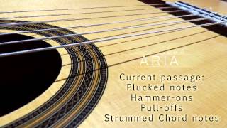 ARIA Sounds Classical Nylon String Guitar Kontakt InstrumentVST [upl. by Uchish564]