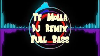 Te Molla Dj Remix  full bass [upl. by Vacuva]