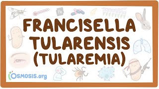 Francisella tularensis Tularemia  an Osmosis Preview [upl. by Juxon]