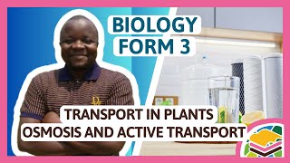 Transport in plants  Osmosis and active transport F3 Biology [upl. by Oesile]