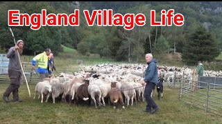 England village lifestyle in Hindi [upl. by Cadman]