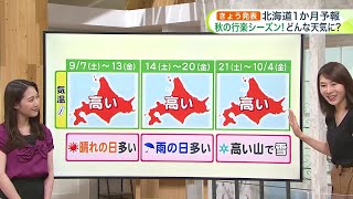 北海道【菅井さんの天気予報 95木】今夜遅くから激しい雨や雷のおそれ！就寝時は窓閉めて…道北はあす朝にかけて最大100ミリ [upl. by Selhorst]