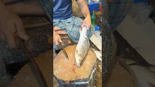 Amazing Mrigal Fish Cutting Skills In Bangladesh Local Fish Market  Fish Cutting shorts [upl. by Nyrual22]