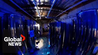 Inside a cryonics facility preserving terminallyill people and pets to wake up in the future [upl. by Honorine]