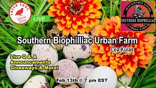 Coturnix Corner LIVE  Southern Biophilliac Urban Farm [upl. by Mathews264]