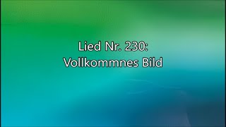 Vollkommnes Bild Lied Nr 230 aus quotGeistliche Liederquot [upl. by Enogitna]