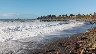 Exploring the Beach Sporthaven Beach Brookings Oregon at KING TIDE 2024 [upl. by Diego]