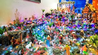 Nacimiento Del Niño Dios  Una Tradición Que Se Vive En Familia [upl. by Euqirrne]