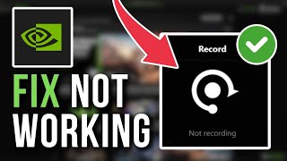 How To Fix Shadowplay Not Saving Or Recording Clips [upl. by Cindie]