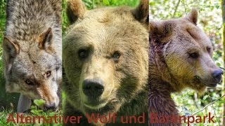 Schwarzwald  alternativer Wolf und Bärenpark Bad Rippoldsau  Sapbach [upl. by Schofield489]