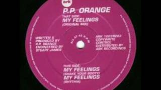 PP Orange  My Feelings Original Mix [upl. by Hardden]