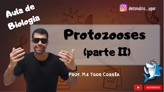 Protozooses parte II [upl. by Tnemelc]