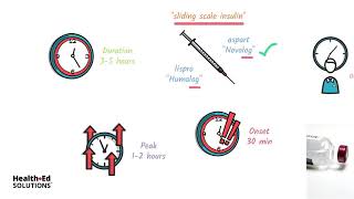 Types of Insulin and How It Works [upl. by Seward]