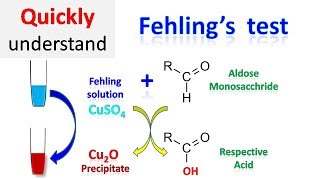 Fehling test [upl. by Dominy859]