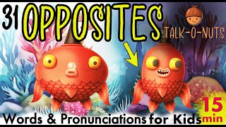 31 Opposites Words for Kids Vocabulary Antonyms for Kindergarten [upl. by Rip711]