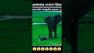 প্রথমবার দেখলে প্লিজ চ্যানেলটাকে সাবস্ক্রাইব করে দেন music love arabic топ motivation ringtone [upl. by Summer]