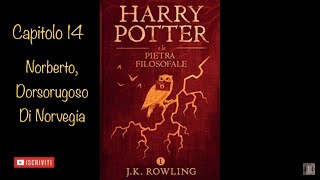 Harry Potter e la Pietra Filosofale audiolibro narrato da Francesco Pannofino  capitolo 14 [upl. by Seuqirdor]