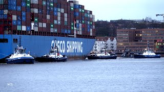 Containerriese COSCO Aquarius 400m legt an  Hamburg 28032024 [upl. by Simonsen]