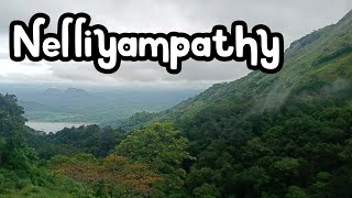 Nelliyampathy trip  Tamil evergreen melodious songs  Tamil cover songs unpluggedsongs [upl. by Getter704]