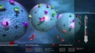 Principles of Chromatography [upl. by Eam]