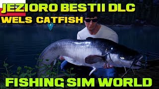 Jezioro Bestii DLC Fishing Sim World Catching Wels Catfish Night Session [upl. by Franzoni]